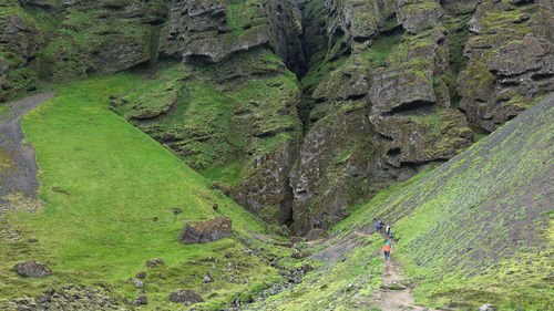 Woman walking by plants on land