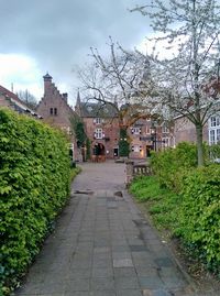 Narrow walkway along buildings