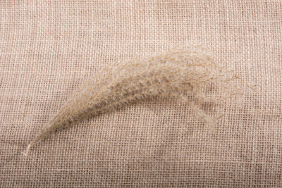 Close-up of plant on burlap