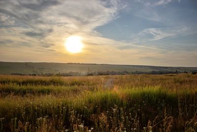 Scenic view of field against sky during sunset