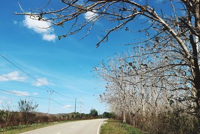 Low angle view of road against sky