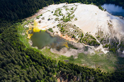 High angle view of trees on field