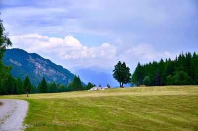 Scenic view of landscape against sky