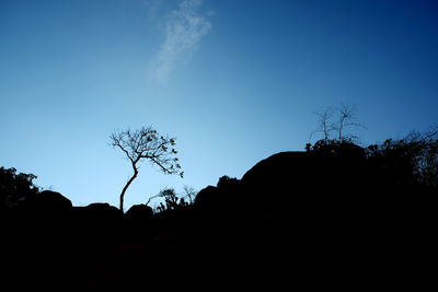 Low angle view of silhouette trees against clear blue sky