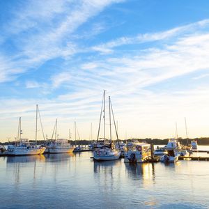 Boats moored at harbor