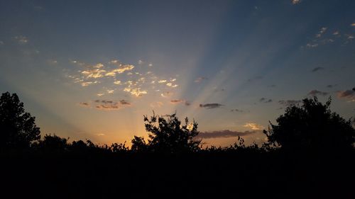 Low angle view of silhouette trees against sky during sunset