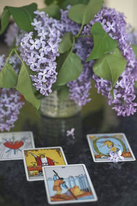 High angle view of various flowers on table