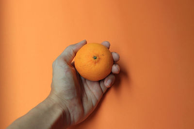 Close-up of hand holding orange fruit