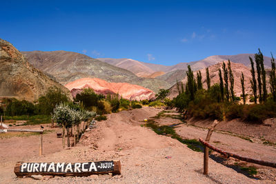 Scenic view of desert