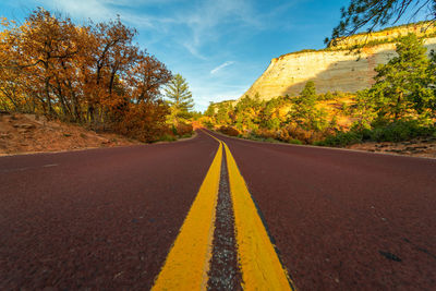 Surface level of empty road along trees