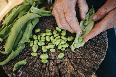 Hands of senior man peeling beans