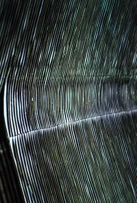 Detail shot of abstract background