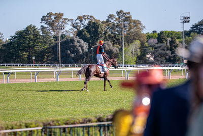 Horse running on field