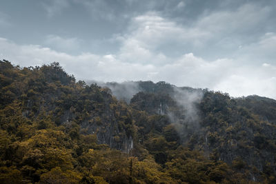 Scenic view of trees and mountains against sky