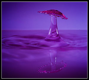 Close-up of water drops on white background