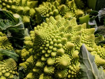 Close-up of vegetables for sale at market