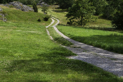 Scenic view of landscape