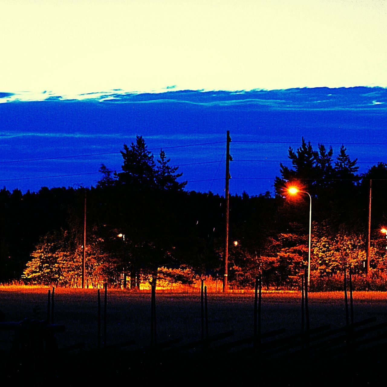 SILHOUETTE TREES ON FIELD AT NIGHT