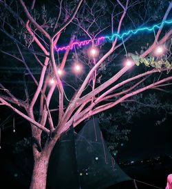 Low angle view of firework display at night