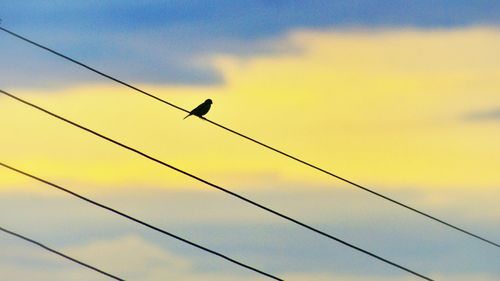 Low angle view of power lines