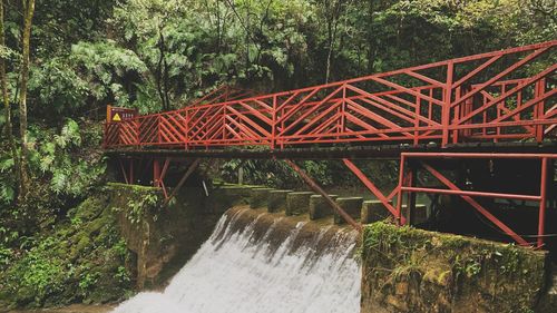 Bridge over river in forest