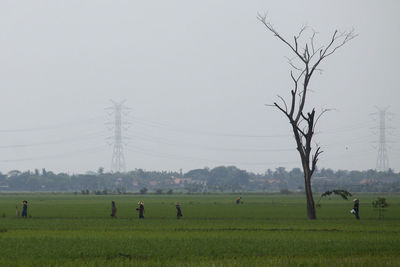 People on field against sky