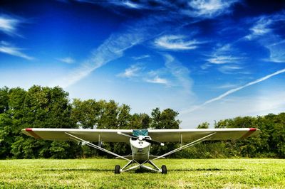 Plane on grassy field