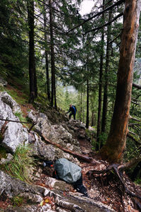 Man amidst trees in forest