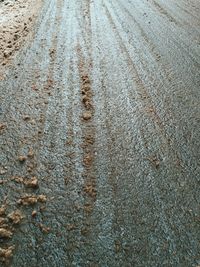 Close-up of tire tracks on road