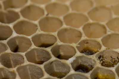 Full frame shot of honeycomb