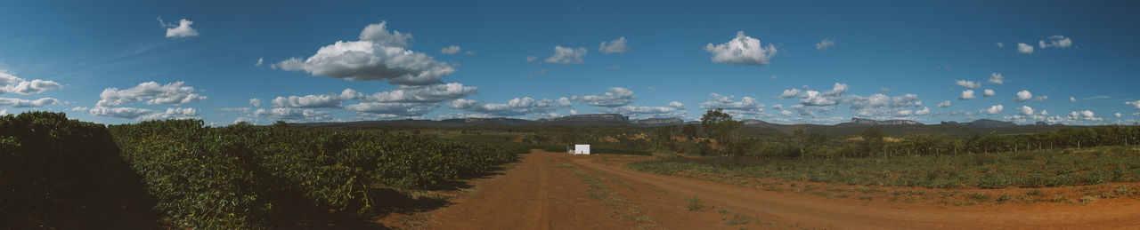 Scenic view of field against blue sky