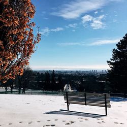 Trees against sky during winter