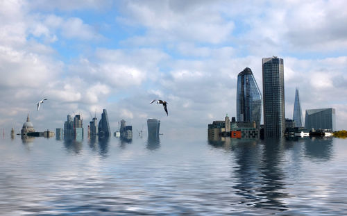 View of birds and buildings in city