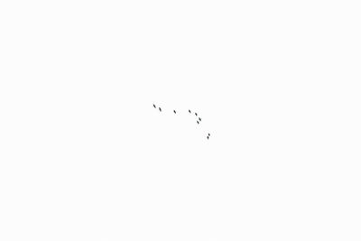 Low angle view of birds flying in sky