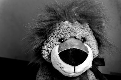 Close-up of human eye