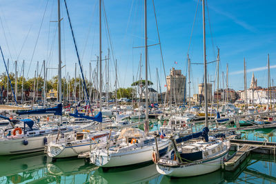 Sailboats moored in harbor