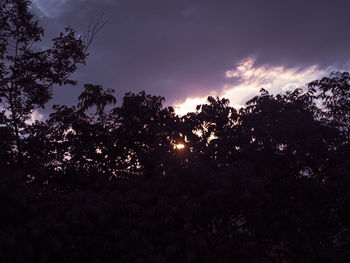 Low angle view of silhouette trees against sky during sunset