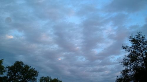 Low angle view of trees against cloudy sky