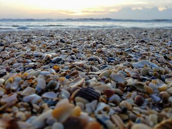 View of stones at beach during sunset