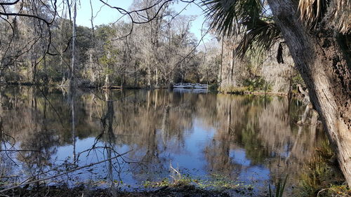 Reflection of trees in lake against sky