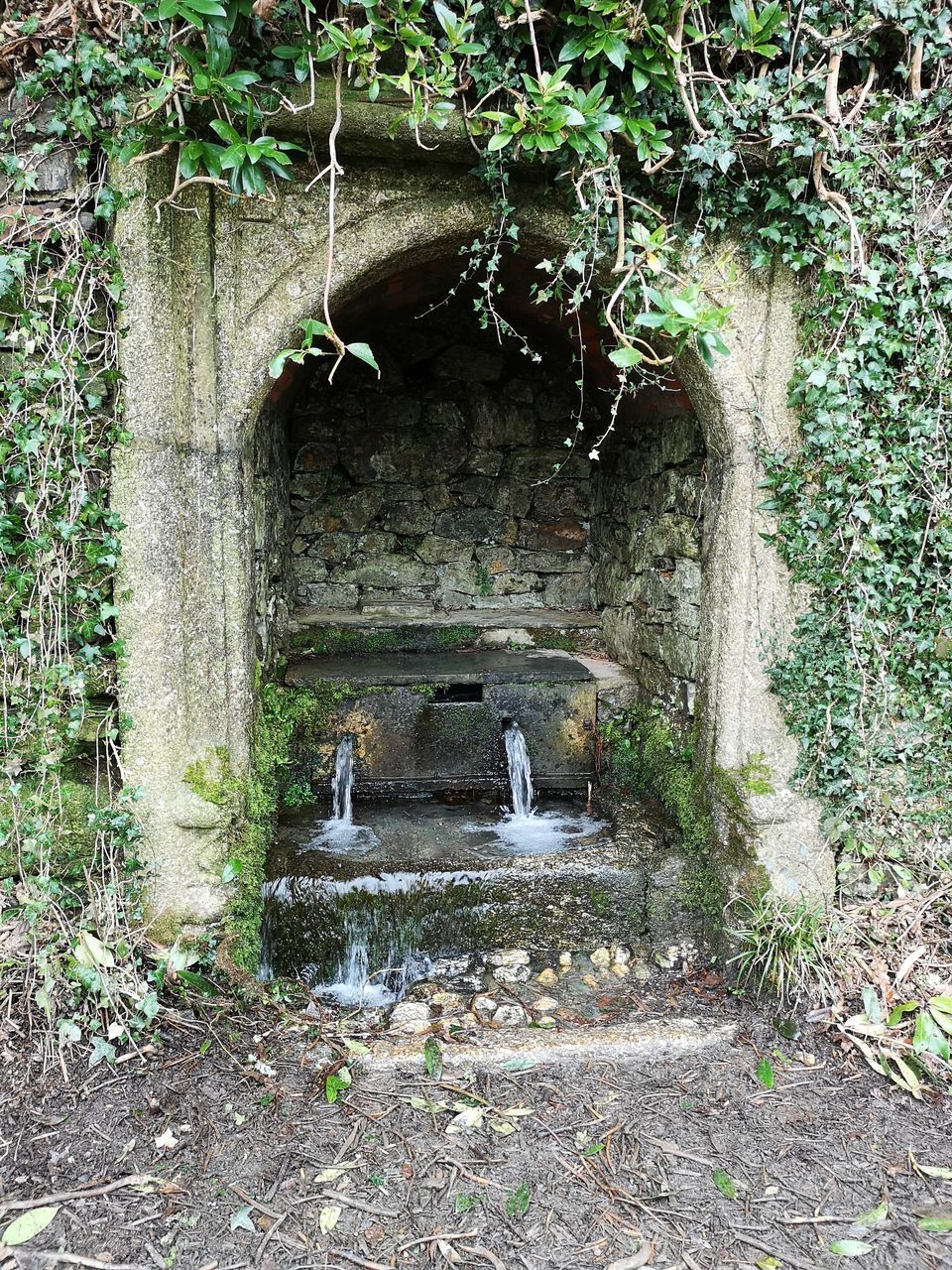 WATER FOUNTAIN AGAINST PLANTS