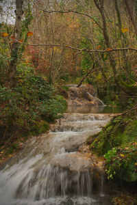 Stream flowing through rocks in forest