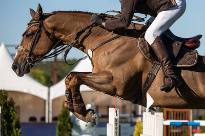 Man riding horse