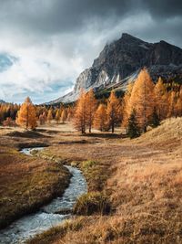 Scenic view of landscape against sky