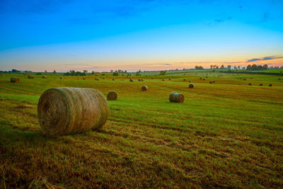 Round hay bails in a field at sunset.