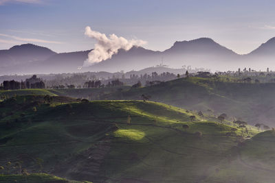 Scenic view of agricultural field in the misty morning