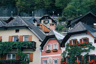 Houses and buildings in town