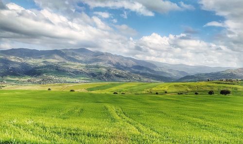 Scenic view of landscape and mountains against sky