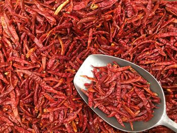 High angle view of red chili peppers in container