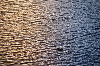 Full frame shot of water